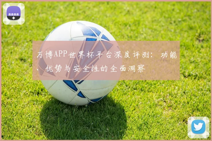 万博APP世界杯平台深度评测:功能、优势与安全性的全面洞察