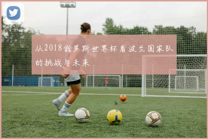 从2018俄罗斯世界杯看波兰国家队的挑战与未来