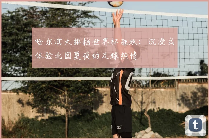 哈尔滨大排档世界杯狂欢：沉浸式体验北国夏夜的足球热情