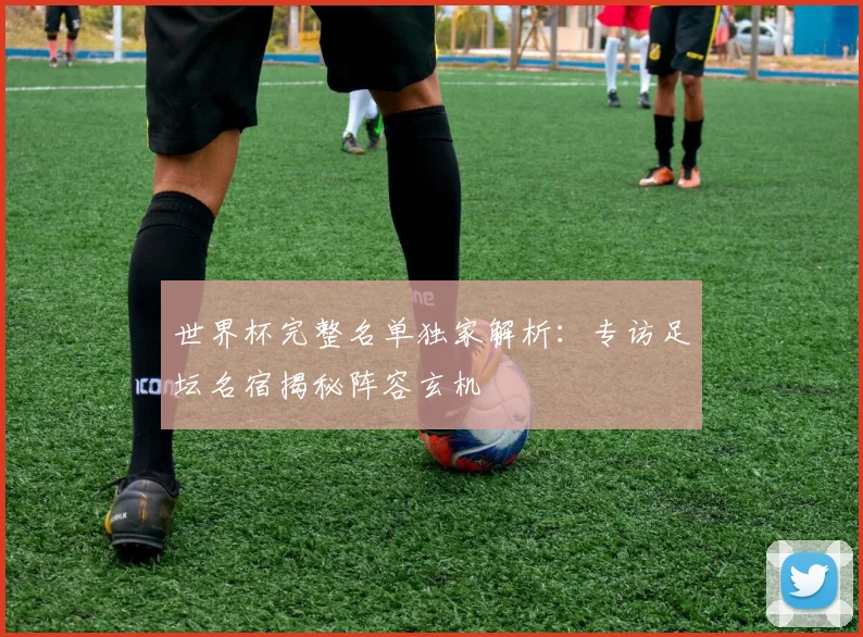 世界杯完整名单独家解析:专访足坛名宿揭秘阵容玄机
