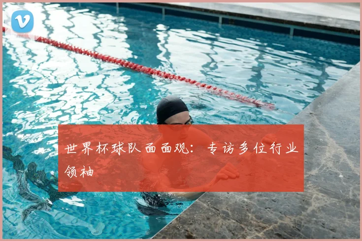 世界杯球队面面观:专访多位行业领袖