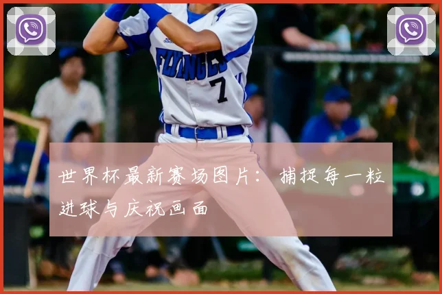 世界杯最新赛场图片:捕捉每一粒进球与庆祝画面
