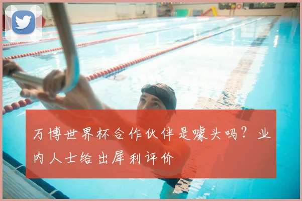 万博世界杯合作伙伴是噱头吗?业内人士给出犀利评价