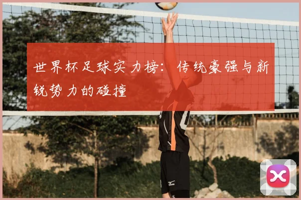 世界杯足球实力榜:传统豪强与新锐势力的碰撞