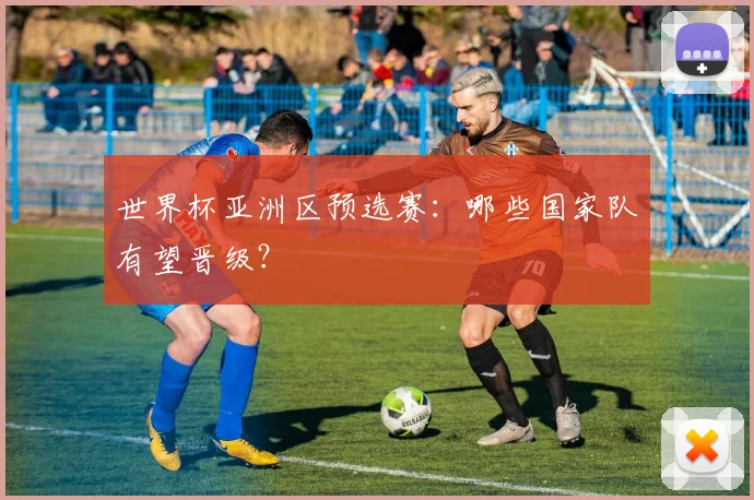 世界杯亚洲区预选赛:哪些国家队有望晋级?